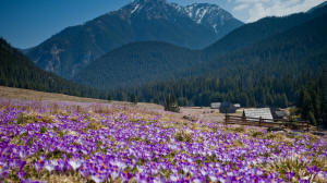 Hotell Redyk erisündmuste ja ürituste ala